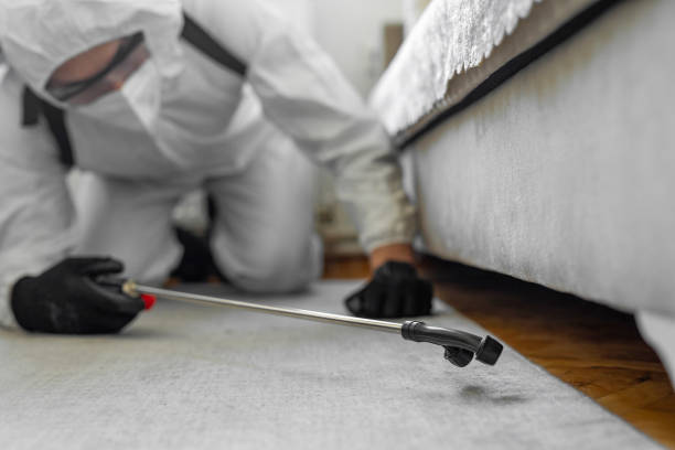 Professional Cockroach Control technician working in West Sand Lake, NY